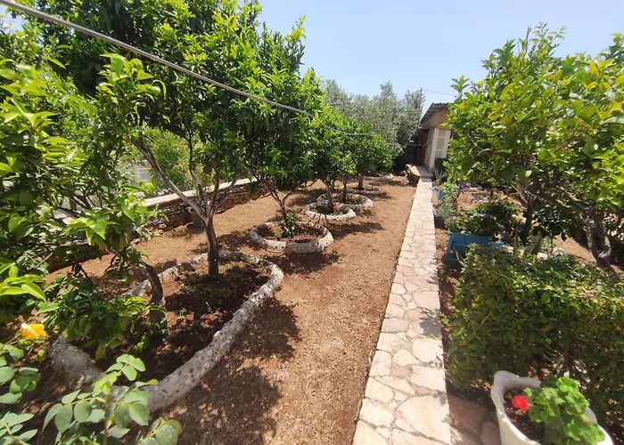 Mitsi Casa de Férias