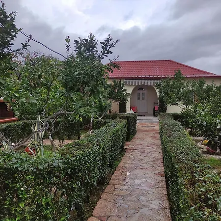 Family Playhouse - Mitsi Sarande